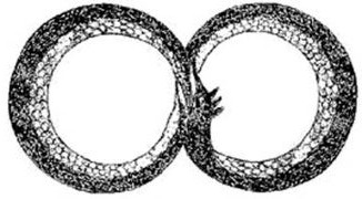 ouroboros_figureeight