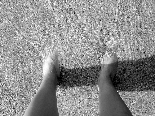 2317325692_fb9a0fc5f6